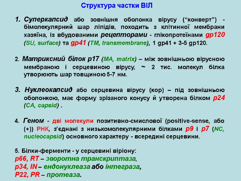 Структура частки ВІЛ Суперкапсид або зовнішня оболонка вірусу (“конверт”) - бімолекулярний шар ліпідів, походить